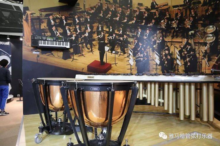 大润发贵宾厅乐器 试奏乐器