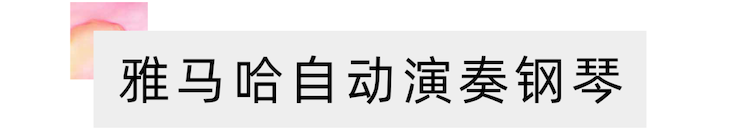 活动报道 | 远程艺术教育大师课活动—大润发贵宾厅艺术家吴晓大师课