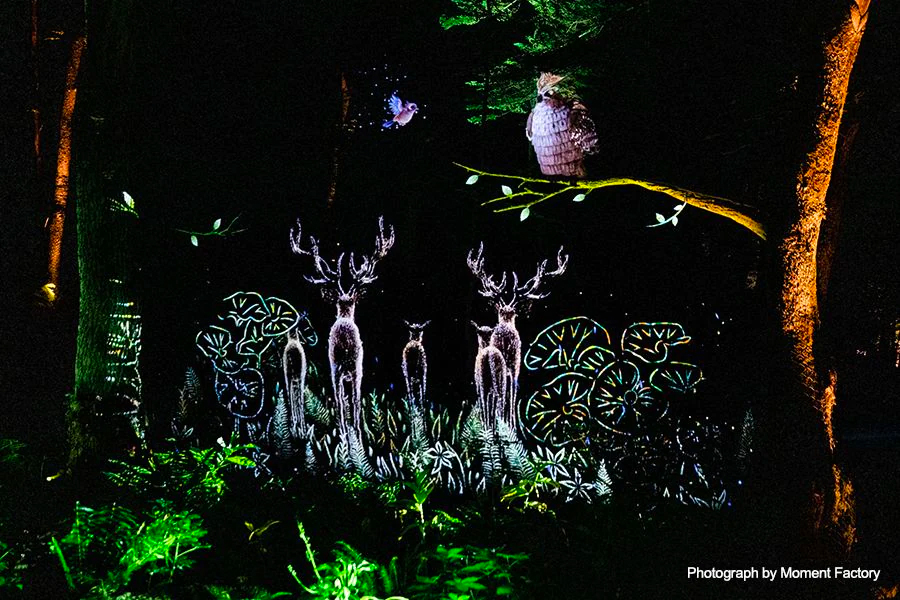 案例｜大润发贵宾厅为壮观的Kamuy Lumina魔法夜行旅游项目提供配乐设备