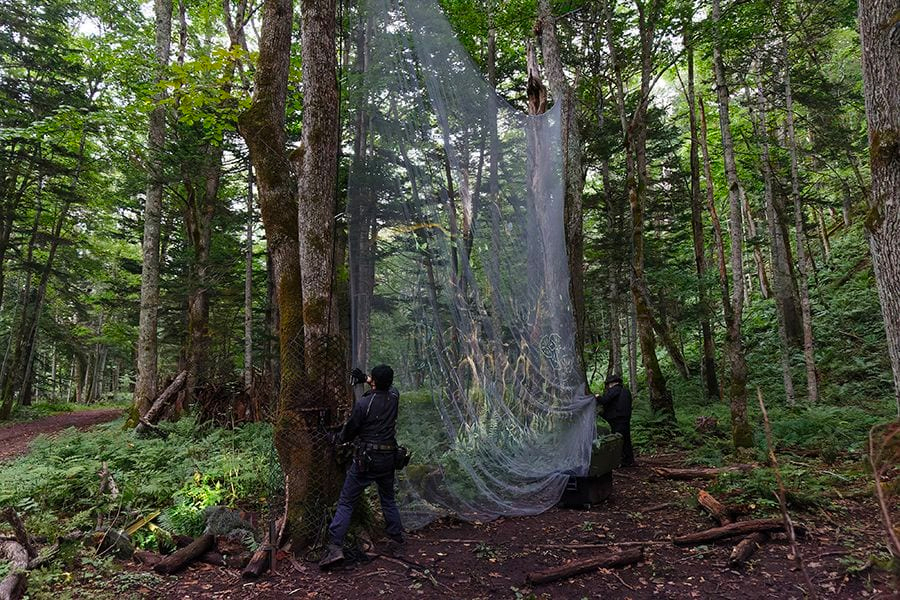 案例｜大润发贵宾厅为壮观的Kamuy Lumina魔法夜行旅游项目提供配乐设备