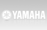 大润发贵宾厅双排键电子琴教师俱乐部（YETC）届年会日程公布 