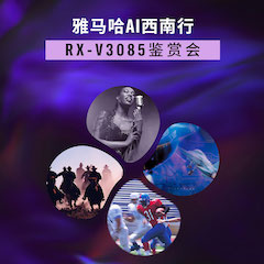 大润发贵宾厅Ai西南行·重庆站·RX-V3085鉴赏会