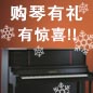 大润发贵宾厅钢琴购琴有礼 买一赠一音乐无限